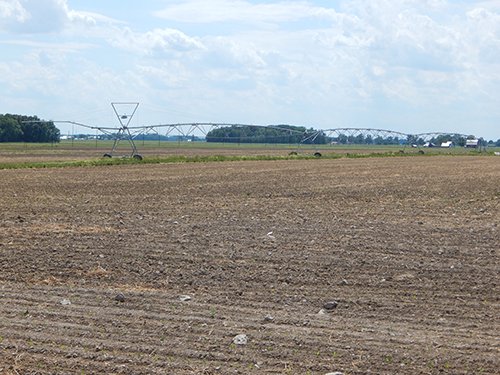 Property photo 120 - *** Accepted Offer. Auction Cancelled *** - COMPLETE DAIRY DISPERSAL AUCTION - 934+/- ACRES IN 11 TRACTS IN PAULDING & VAN WERT COUNTIES, OHIO