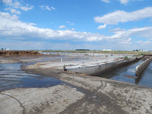 Property photo 7 - *** Accepted Offer. Auction Cancelled *** - COMPLETE DAIRY DISPERSAL AUCTION - 934+/- ACRES IN 11 TRACTS IN PAULDING & VAN WERT COUNTIES, OHIO