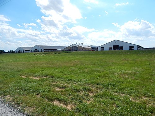 Property photo 8 - *** Accepted Offer. Auction Cancelled *** - COMPLETE DAIRY DISPERSAL AUCTION - 934+/- ACRES IN 11 TRACTS IN PAULDING & VAN WERT COUNTIES, OHIO