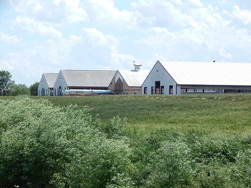 Property photo 9 - *** Accepted Offer. Auction Cancelled *** - COMPLETE DAIRY DISPERSAL AUCTION - 934+/- ACRES IN 11 TRACTS IN PAULDING & VAN WERT COUNTIES, OHIO