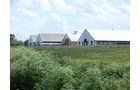Property photo 9 - *** Accepted Offer. Auction Cancelled *** - COMPLETE DAIRY DISPERSAL AUCTION - 934+/- ACRES IN 11 TRACTS IN PAULDING & VAN WERT COUNTIES, OHIO