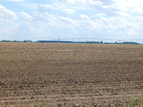 Property photo 125 - *** Accepted Offer. Auction Cancelled *** - COMPLETE DAIRY DISPERSAL AUCTION - 934+/- ACRES IN 11 TRACTS IN PAULDING & VAN WERT COUNTIES, OHIO