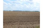 Property photo 125 - *** Accepted Offer. Auction Cancelled *** - COMPLETE DAIRY DISPERSAL AUCTION - 934+/- ACRES IN 11 TRACTS IN PAULDING & VAN WERT COUNTIES, OHIO