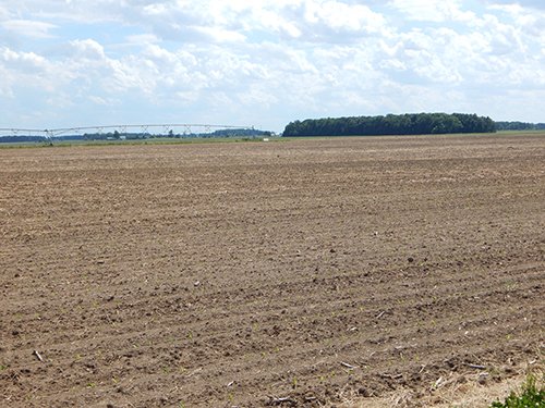 Property photo 99 - *** Accepted Offer. Auction Cancelled *** - COMPLETE DAIRY DISPERSAL AUCTION - 934+/- ACRES IN 11 TRACTS IN PAULDING & VAN WERT COUNTIES, OHIO