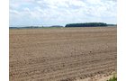 Property photo 99 - *** Accepted Offer. Auction Cancelled *** - COMPLETE DAIRY DISPERSAL AUCTION - 934+/- ACRES IN 11 TRACTS IN PAULDING & VAN WERT COUNTIES, OHIO