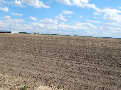 Property photo 92 - *** Accepted Offer. Auction Cancelled *** - COMPLETE DAIRY DISPERSAL AUCTION - 934+/- ACRES IN 11 TRACTS IN PAULDING & VAN WERT COUNTIES, OHIO