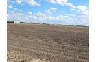 Property photo 92 - *** Accepted Offer. Auction Cancelled *** - COMPLETE DAIRY DISPERSAL AUCTION - 934+/- ACRES IN 11 TRACTS IN PAULDING & VAN WERT COUNTIES, OHIO