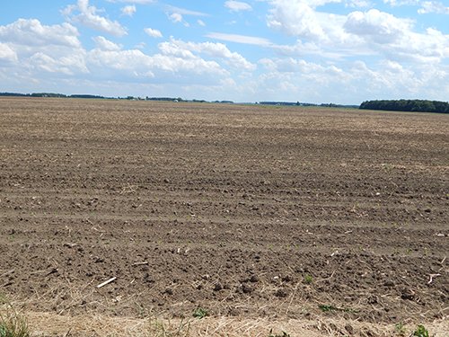 Property photo 69 - *** Accepted Offer. Auction Cancelled *** - COMPLETE DAIRY DISPERSAL AUCTION - 934+/- ACRES IN 11 TRACTS IN PAULDING & VAN WERT COUNTIES, OHIO