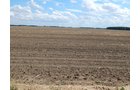 Property photo 69 - *** Accepted Offer. Auction Cancelled *** - COMPLETE DAIRY DISPERSAL AUCTION - 934+/- ACRES IN 11 TRACTS IN PAULDING & VAN WERT COUNTIES, OHIO
