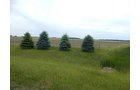 Property photo 67 - *** Accepted Offer. Auction Cancelled *** - COMPLETE DAIRY DISPERSAL AUCTION - 934+/- ACRES IN 11 TRACTS IN PAULDING & VAN WERT COUNTIES, OHIO