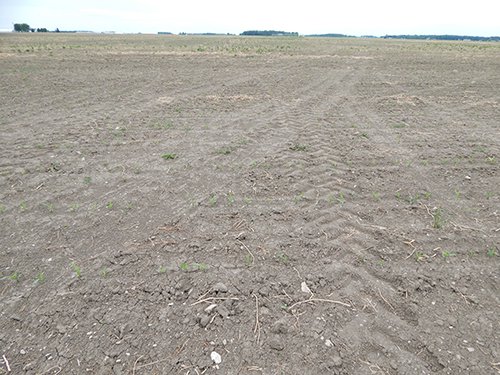 Property photo 105 - *** Accepted Offer. Auction Cancelled *** - COMPLETE DAIRY DISPERSAL AUCTION - 934+/- ACRES IN 11 TRACTS IN PAULDING & VAN WERT COUNTIES, OHIO