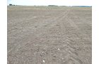 Property photo 105 - *** Accepted Offer. Auction Cancelled *** - COMPLETE DAIRY DISPERSAL AUCTION - 934+/- ACRES IN 11 TRACTS IN PAULDING & VAN WERT COUNTIES, OHIO