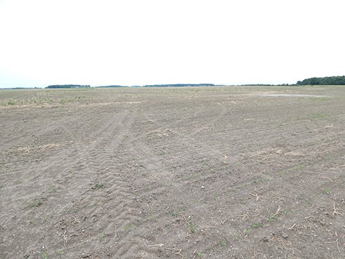 Property photo 93 - *** Accepted Offer. Auction Cancelled *** - COMPLETE DAIRY DISPERSAL AUCTION - 934+/- ACRES IN 11 TRACTS IN PAULDING & VAN WERT COUNTIES, OHIO