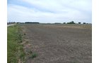 Property photo 109 - *** Accepted Offer. Auction Cancelled *** - COMPLETE DAIRY DISPERSAL AUCTION - 934+/- ACRES IN 11 TRACTS IN PAULDING & VAN WERT COUNTIES, OHIO