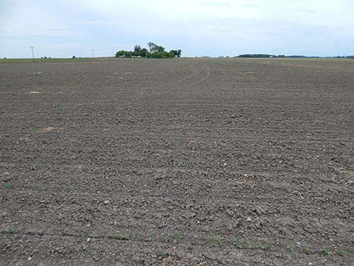 Property photo 108 - *** Accepted Offer. Auction Cancelled *** - COMPLETE DAIRY DISPERSAL AUCTION - 934+/- ACRES IN 11 TRACTS IN PAULDING & VAN WERT COUNTIES, OHIO