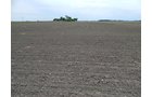 Property photo 108 - *** Accepted Offer. Auction Cancelled *** - COMPLETE DAIRY DISPERSAL AUCTION - 934+/- ACRES IN 11 TRACTS IN PAULDING & VAN WERT COUNTIES, OHIO