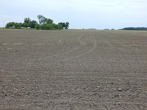 Property photo 121 - *** Accepted Offer. Auction Cancelled *** - COMPLETE DAIRY DISPERSAL AUCTION - 934+/- ACRES IN 11 TRACTS IN PAULDING & VAN WERT COUNTIES, OHIO
