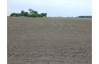 Property photo 121 - *** Accepted Offer. Auction Cancelled *** - COMPLETE DAIRY DISPERSAL AUCTION - 934+/- ACRES IN 11 TRACTS IN PAULDING & VAN WERT COUNTIES, OHIO