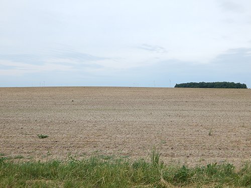 Property photo 75 - *** Accepted Offer. Auction Cancelled *** - COMPLETE DAIRY DISPERSAL AUCTION - 934+/- ACRES IN 11 TRACTS IN PAULDING & VAN WERT COUNTIES, OHIO