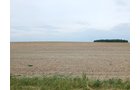 Property photo 75 - *** Accepted Offer. Auction Cancelled *** - COMPLETE DAIRY DISPERSAL AUCTION - 934+/- ACRES IN 11 TRACTS IN PAULDING & VAN WERT COUNTIES, OHIO