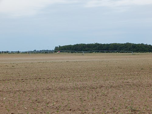 Property photo 81 - *** Accepted Offer. Auction Cancelled *** - COMPLETE DAIRY DISPERSAL AUCTION - 934+/- ACRES IN 11 TRACTS IN PAULDING & VAN WERT COUNTIES, OHIO
