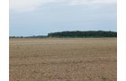 Property photo 81 - *** Accepted Offer. Auction Cancelled *** - COMPLETE DAIRY DISPERSAL AUCTION - 934+/- ACRES IN 11 TRACTS IN PAULDING & VAN WERT COUNTIES, OHIO