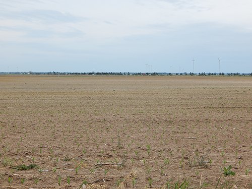 Property photo 76 - *** Accepted Offer. Auction Cancelled *** - COMPLETE DAIRY DISPERSAL AUCTION - 934+/- ACRES IN 11 TRACTS IN PAULDING & VAN WERT COUNTIES, OHIO