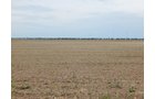 Property photo 76 - *** Accepted Offer. Auction Cancelled *** - COMPLETE DAIRY DISPERSAL AUCTION - 934+/- ACRES IN 11 TRACTS IN PAULDING & VAN WERT COUNTIES, OHIO