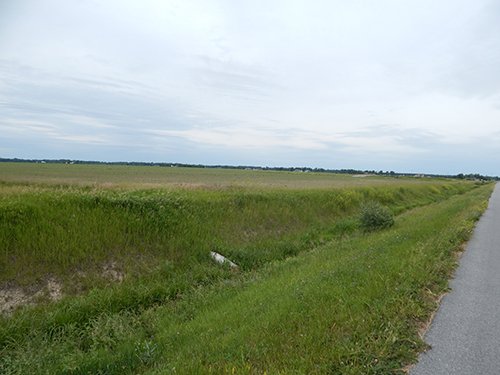 Property photo 127 - *** Accepted Offer. Auction Cancelled *** - COMPLETE DAIRY DISPERSAL AUCTION - 934+/- ACRES IN 11 TRACTS IN PAULDING & VAN WERT COUNTIES, OHIO