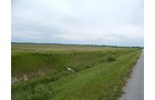 Property photo 127 - *** Accepted Offer. Auction Cancelled *** - COMPLETE DAIRY DISPERSAL AUCTION - 934+/- ACRES IN 11 TRACTS IN PAULDING & VAN WERT COUNTIES, OHIO