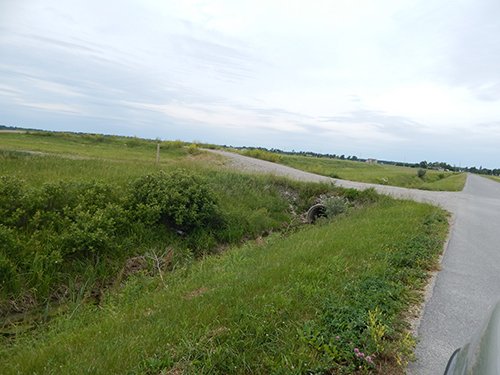 Property photo 85 - *** Accepted Offer. Auction Cancelled *** - COMPLETE DAIRY DISPERSAL AUCTION - 934+/- ACRES IN 11 TRACTS IN PAULDING & VAN WERT COUNTIES, OHIO