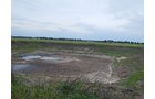 Property photo 114 - *** Accepted Offer. Auction Cancelled *** - COMPLETE DAIRY DISPERSAL AUCTION - 934+/- ACRES IN 11 TRACTS IN PAULDING & VAN WERT COUNTIES, OHIO