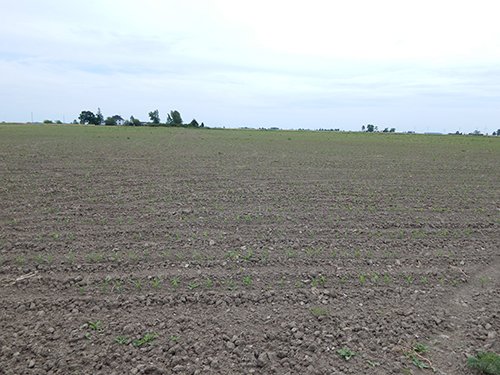 Property photo 117 - *** Accepted Offer. Auction Cancelled *** - COMPLETE DAIRY DISPERSAL AUCTION - 934+/- ACRES IN 11 TRACTS IN PAULDING & VAN WERT COUNTIES, OHIO