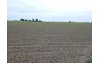 Property photo 117 - *** Accepted Offer. Auction Cancelled *** - COMPLETE DAIRY DISPERSAL AUCTION - 934+/- ACRES IN 11 TRACTS IN PAULDING & VAN WERT COUNTIES, OHIO
