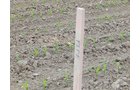Property photo 122 - *** Accepted Offer. Auction Cancelled *** - COMPLETE DAIRY DISPERSAL AUCTION - 934+/- ACRES IN 11 TRACTS IN PAULDING & VAN WERT COUNTIES, OHIO