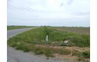 Property photo 82 - *** Accepted Offer. Auction Cancelled *** - COMPLETE DAIRY DISPERSAL AUCTION - 934+/- ACRES IN 11 TRACTS IN PAULDING & VAN WERT COUNTIES, OHIO