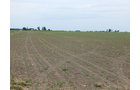 Property photo 132 - *** Accepted Offer. Auction Cancelled *** - COMPLETE DAIRY DISPERSAL AUCTION - 934+/- ACRES IN 11 TRACTS IN PAULDING & VAN WERT COUNTIES, OHIO