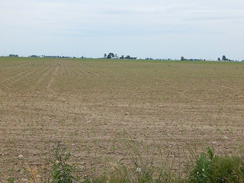 Property photo 103 - *** Accepted Offer. Auction Cancelled *** - COMPLETE DAIRY DISPERSAL AUCTION - 934+/- ACRES IN 11 TRACTS IN PAULDING & VAN WERT COUNTIES, OHIO