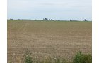 Property photo 103 - *** Accepted Offer. Auction Cancelled *** - COMPLETE DAIRY DISPERSAL AUCTION - 934+/- ACRES IN 11 TRACTS IN PAULDING & VAN WERT COUNTIES, OHIO