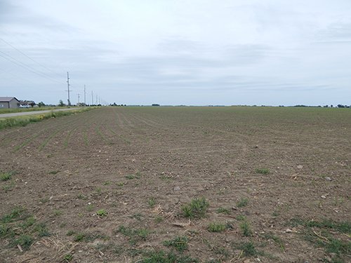 Property photo 78 - *** Accepted Offer. Auction Cancelled *** - COMPLETE DAIRY DISPERSAL AUCTION - 934+/- ACRES IN 11 TRACTS IN PAULDING & VAN WERT COUNTIES, OHIO