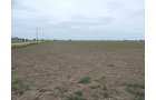 Property photo 78 - *** Accepted Offer. Auction Cancelled *** - COMPLETE DAIRY DISPERSAL AUCTION - 934+/- ACRES IN 11 TRACTS IN PAULDING & VAN WERT COUNTIES, OHIO