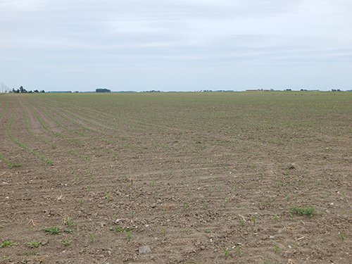 Property photo 124 - *** Accepted Offer. Auction Cancelled *** - COMPLETE DAIRY DISPERSAL AUCTION - 934+/- ACRES IN 11 TRACTS IN PAULDING & VAN WERT COUNTIES, OHIO