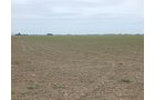 Property photo 124 - *** Accepted Offer. Auction Cancelled *** - COMPLETE DAIRY DISPERSAL AUCTION - 934+/- ACRES IN 11 TRACTS IN PAULDING & VAN WERT COUNTIES, OHIO