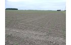 Property photo 83 - *** Accepted Offer. Auction Cancelled *** - COMPLETE DAIRY DISPERSAL AUCTION - 934+/- ACRES IN 11 TRACTS IN PAULDING & VAN WERT COUNTIES, OHIO