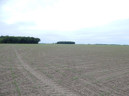 Property photo 77 - *** Accepted Offer. Auction Cancelled *** - COMPLETE DAIRY DISPERSAL AUCTION - 934+/- ACRES IN 11 TRACTS IN PAULDING & VAN WERT COUNTIES, OHIO