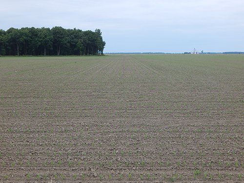 Property photo 73 - *** Accepted Offer. Auction Cancelled *** - COMPLETE DAIRY DISPERSAL AUCTION - 934+/- ACRES IN 11 TRACTS IN PAULDING & VAN WERT COUNTIES, OHIO