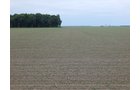 Property photo 73 - *** Accepted Offer. Auction Cancelled *** - COMPLETE DAIRY DISPERSAL AUCTION - 934+/- ACRES IN 11 TRACTS IN PAULDING & VAN WERT COUNTIES, OHIO
