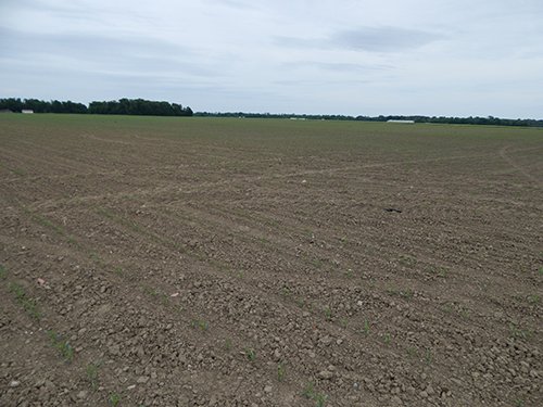 Property photo 111 - *** Accepted Offer. Auction Cancelled *** - COMPLETE DAIRY DISPERSAL AUCTION - 934+/- ACRES IN 11 TRACTS IN PAULDING & VAN WERT COUNTIES, OHIO