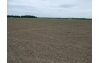 Property photo 111 - *** Accepted Offer. Auction Cancelled *** - COMPLETE DAIRY DISPERSAL AUCTION - 934+/- ACRES IN 11 TRACTS IN PAULDING & VAN WERT COUNTIES, OHIO