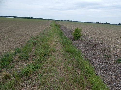 Property photo 90 - *** Accepted Offer. Auction Cancelled *** - COMPLETE DAIRY DISPERSAL AUCTION - 934+/- ACRES IN 11 TRACTS IN PAULDING & VAN WERT COUNTIES, OHIO